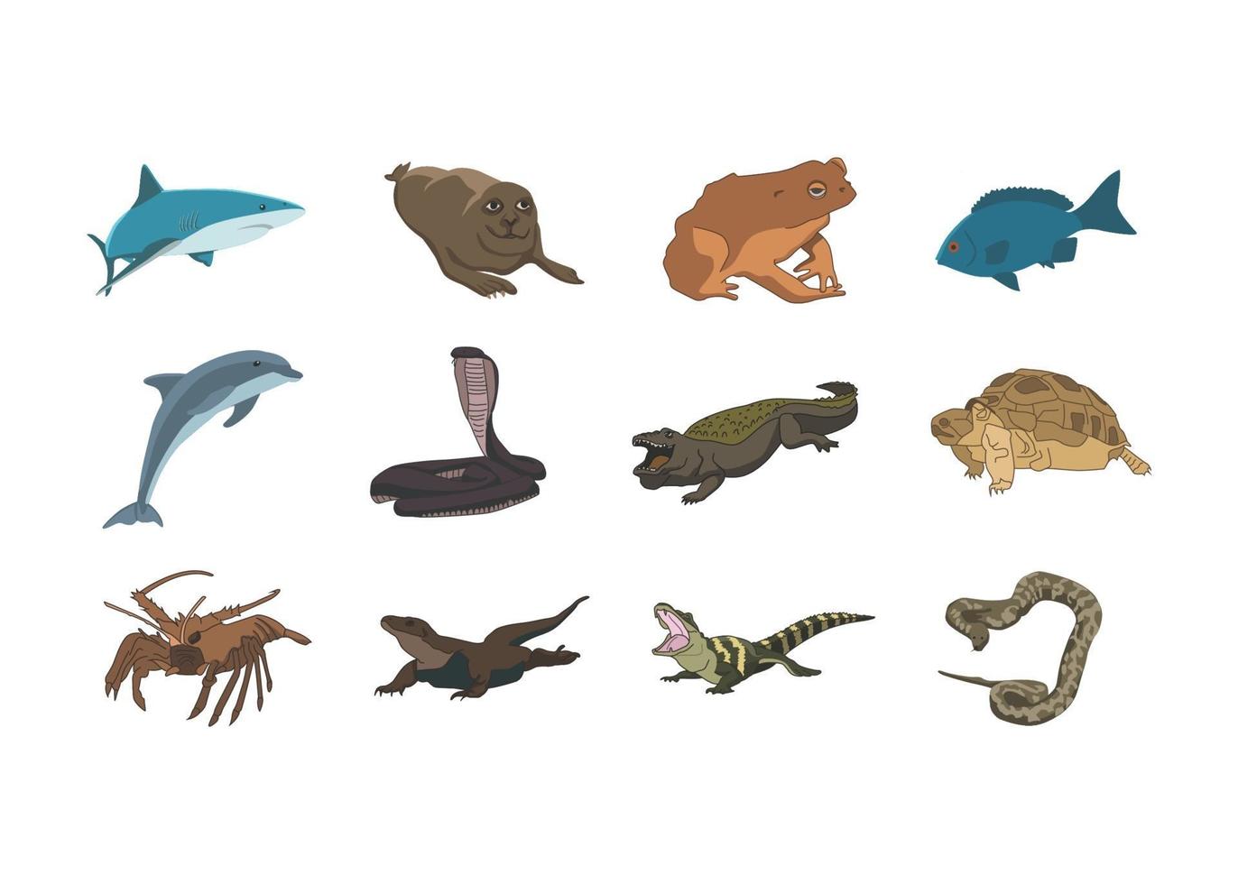 se varelser barnbok illustration set - haj, bläckfisk, havsrygg vektor