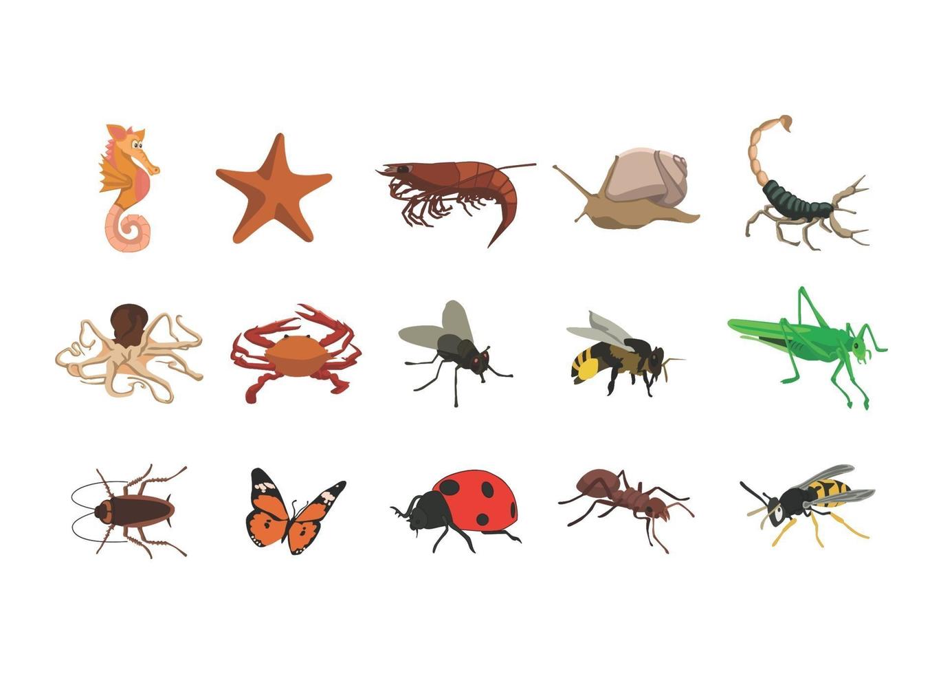 insekter barnbok illustration set, reptiler, fjäril, honungsbi vektor