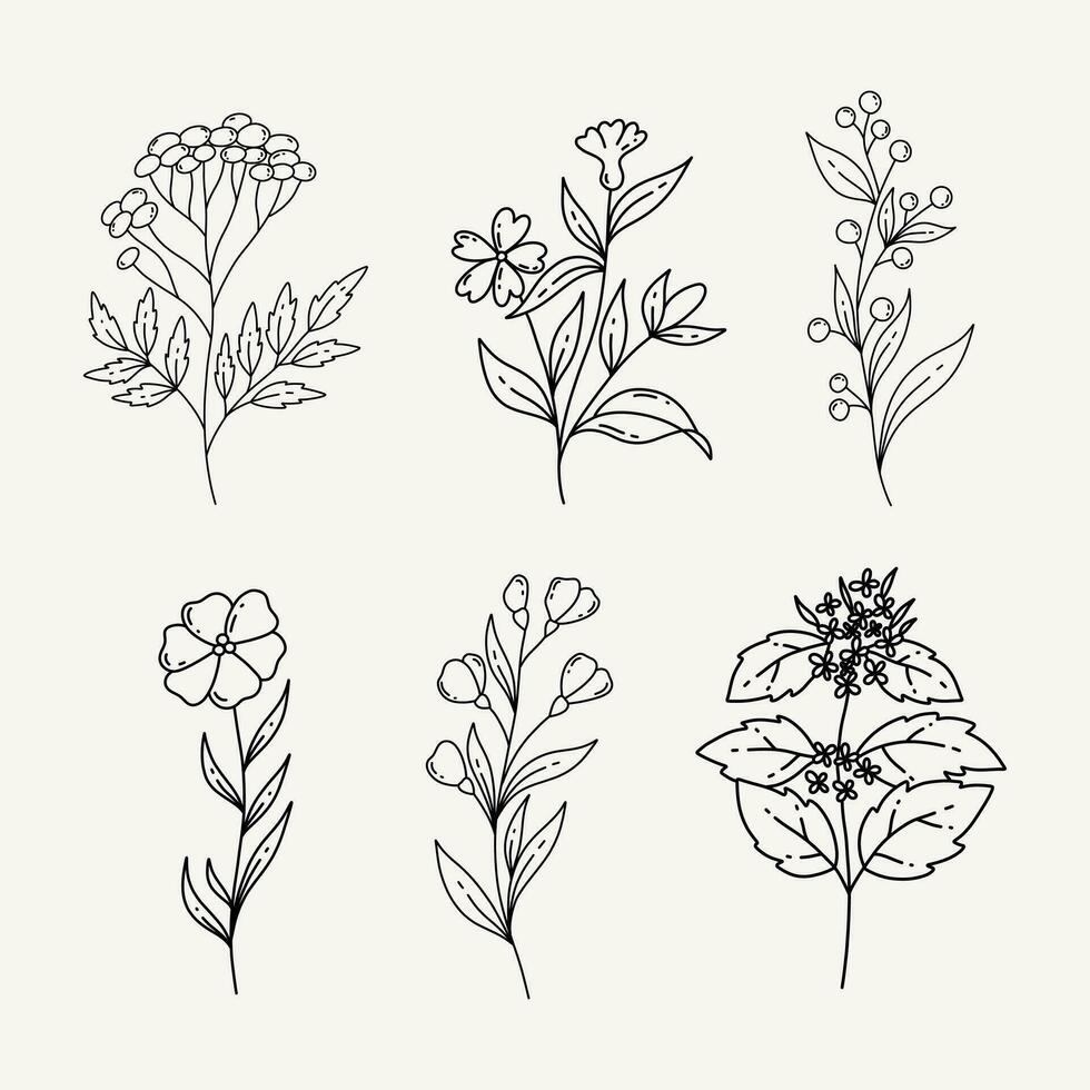 uppsättning av modern blommig linje konst element.hand dra botanisk. vektor