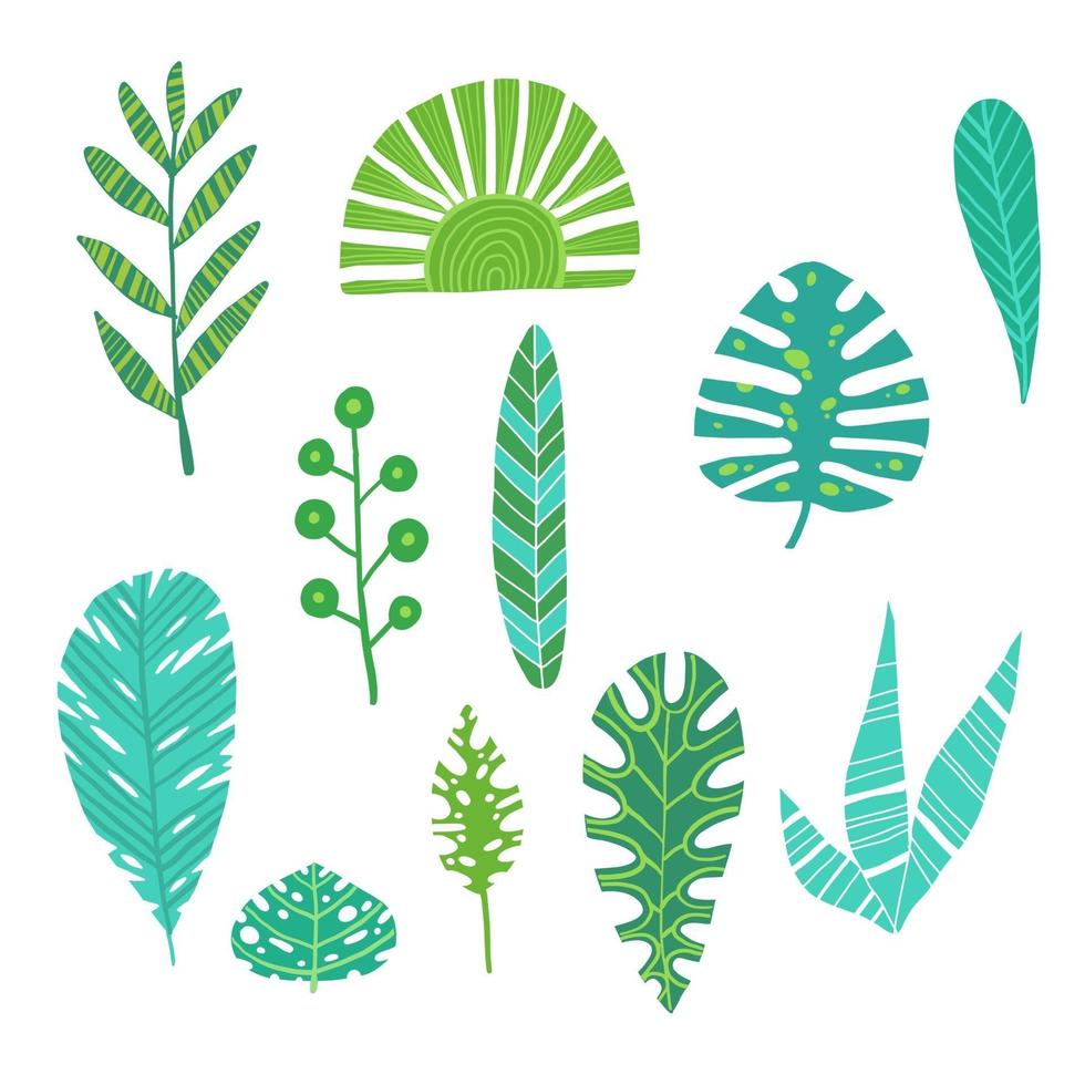 tropiska blad sommar djungel grönt palmblad exotisk designn vektor