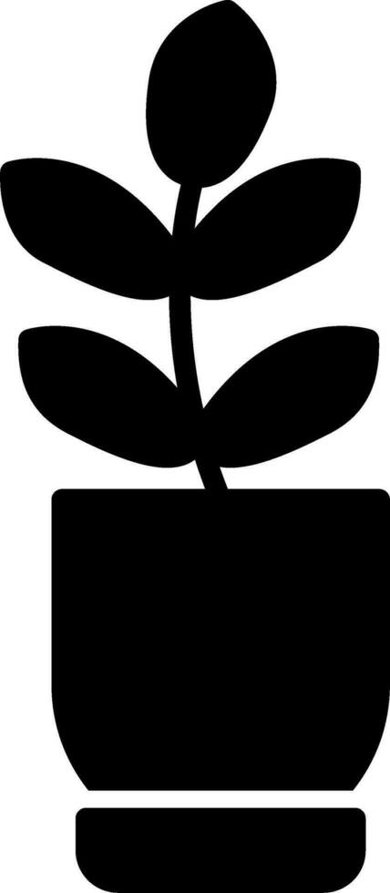 Ficus Elastica Vektor Symbol