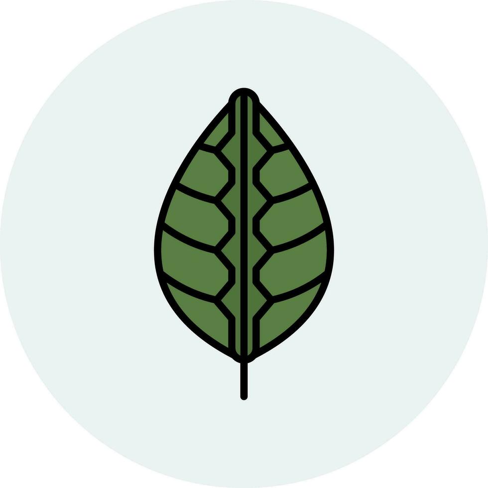 Maranta Vektor Symbol