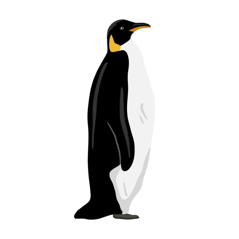 König Pinguin. eben Vektor Illustration isoliert auf Weiß. Polar- Tier