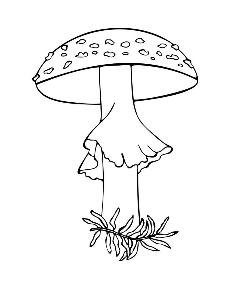 flyga agaric hand skiss. linjär kontur vektor illustration.