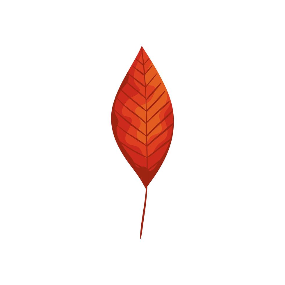 Saison Herbstblatt isolierte Symbol vektor