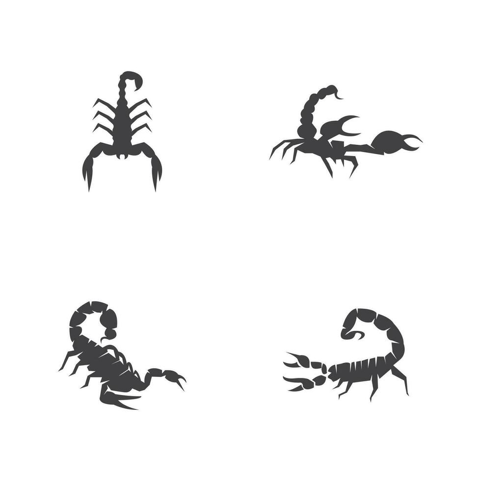 scorpion ikon och symbol vektor mall