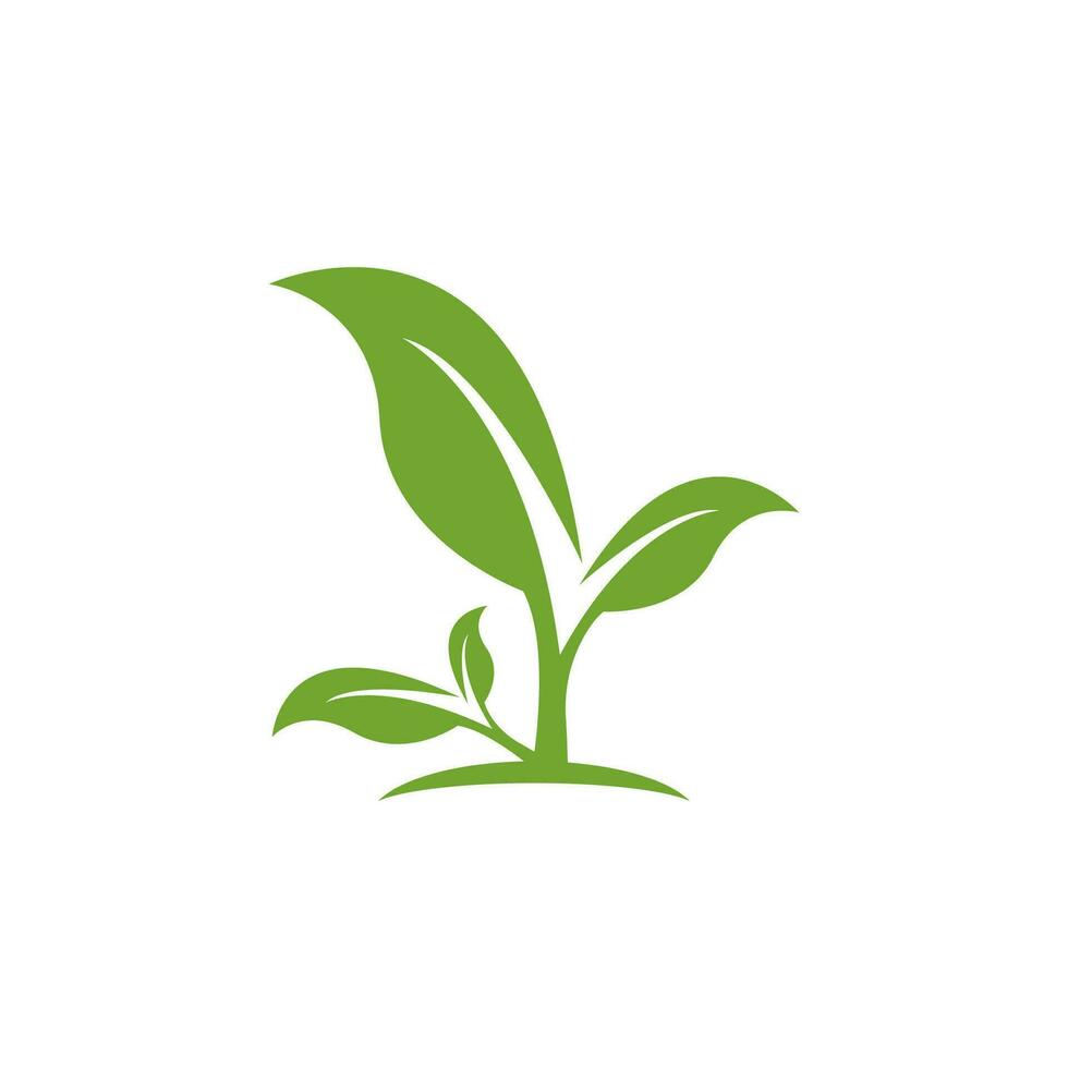 Grün Blatt Natur Pflanze konzeptionelle Symbol Vektor Illustration