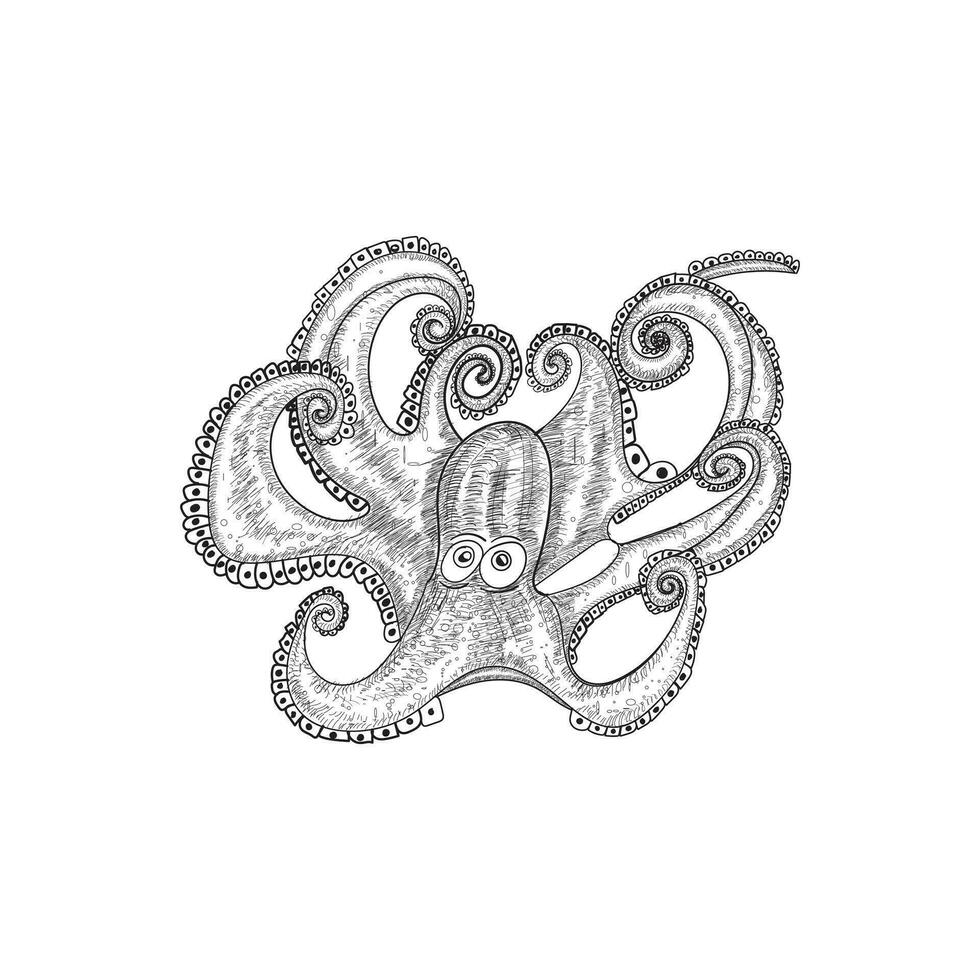 bläckfisk vektor illustration design