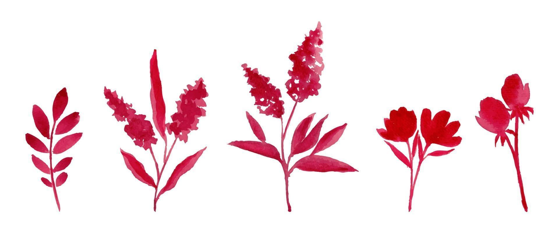 röd akvarell blomma arrangemang separerade vektor uppsättning