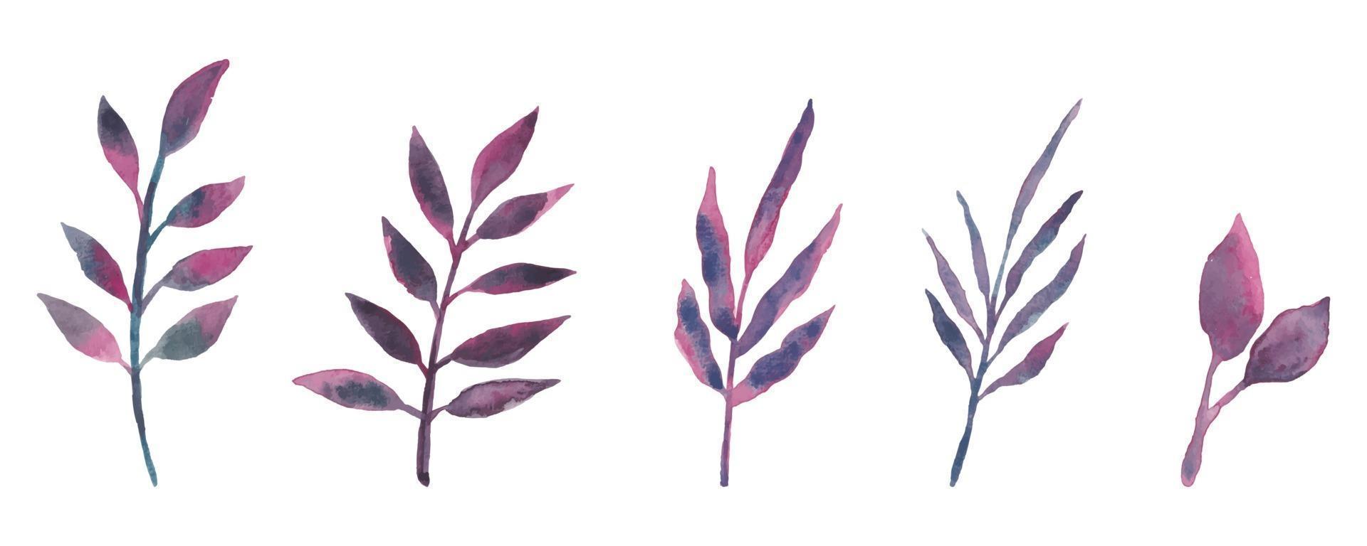 lila blad akvarell vektor