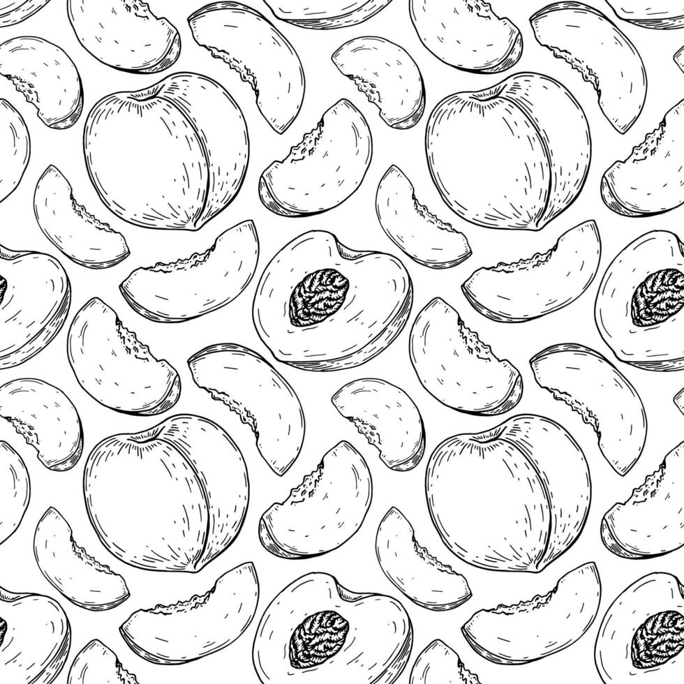 Hand gezeichnetes nahtloses Muster des Pfirsichs. Vektor-Illustration vektor