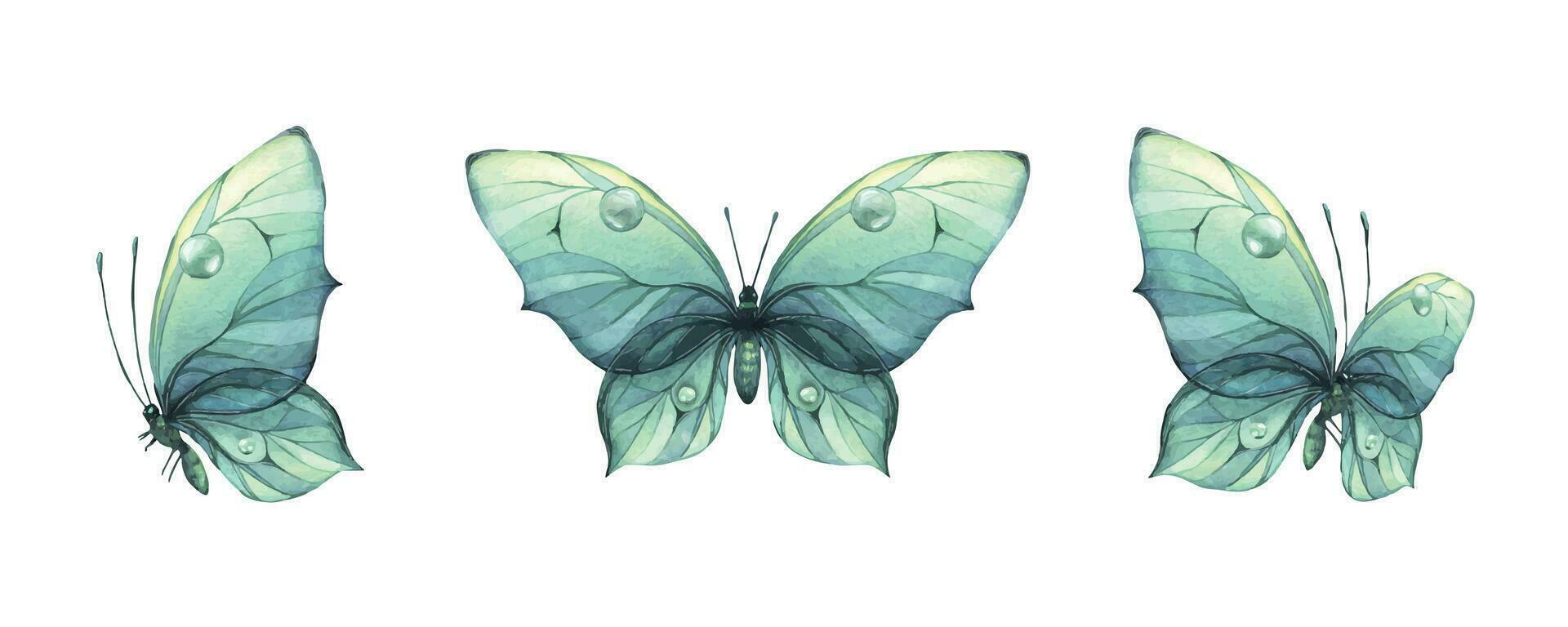 ein Blau, Türkis Schmetterlinge mit ein schön Muster auf es ist Flügel, fliegend. Aquarell Illustration Hand gezeichnet. einstellen von isoliert Objekte auf ein Weiß Hintergrund vektor