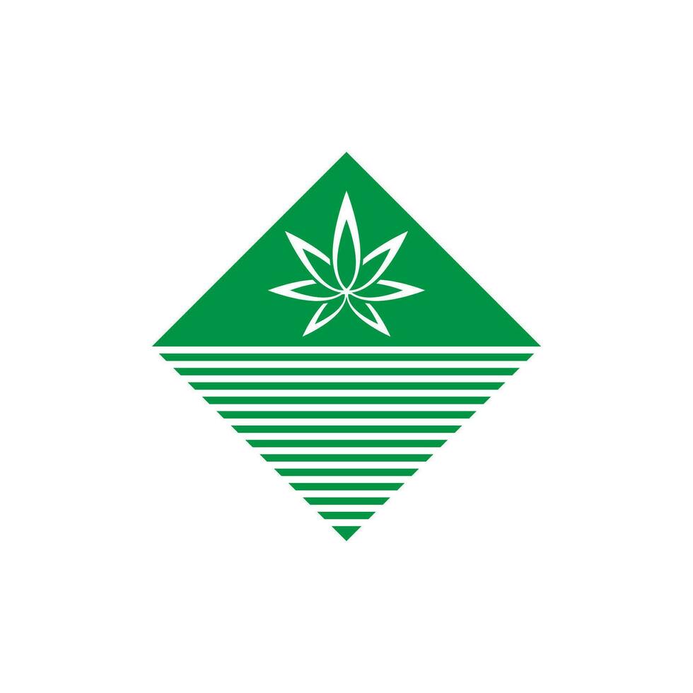 cannabis logotyp vektor och symbol