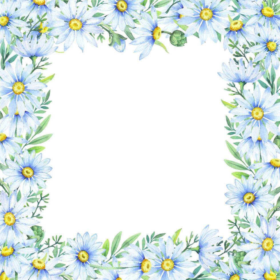 blommig daisy gräns, vattenfärg illustration. vit daisy. blommig botanisk blomma. ram gräns prydnad vektor