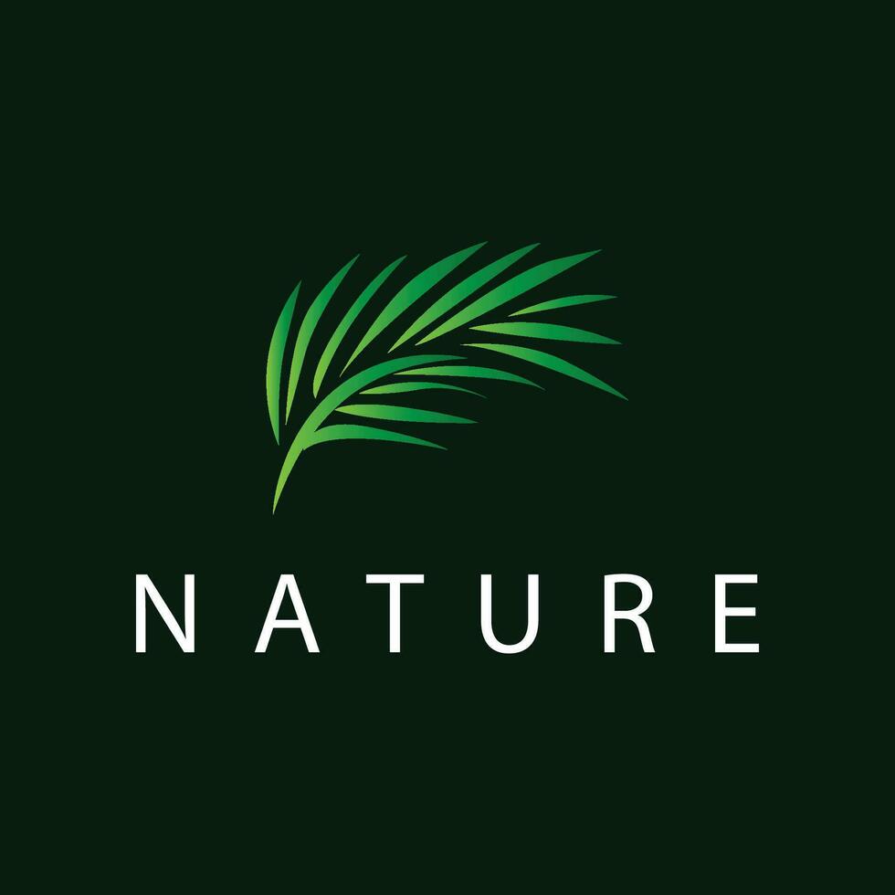 Palme Blatt Logo, Grün Pflanze Design Vektor Illustration Vorlage