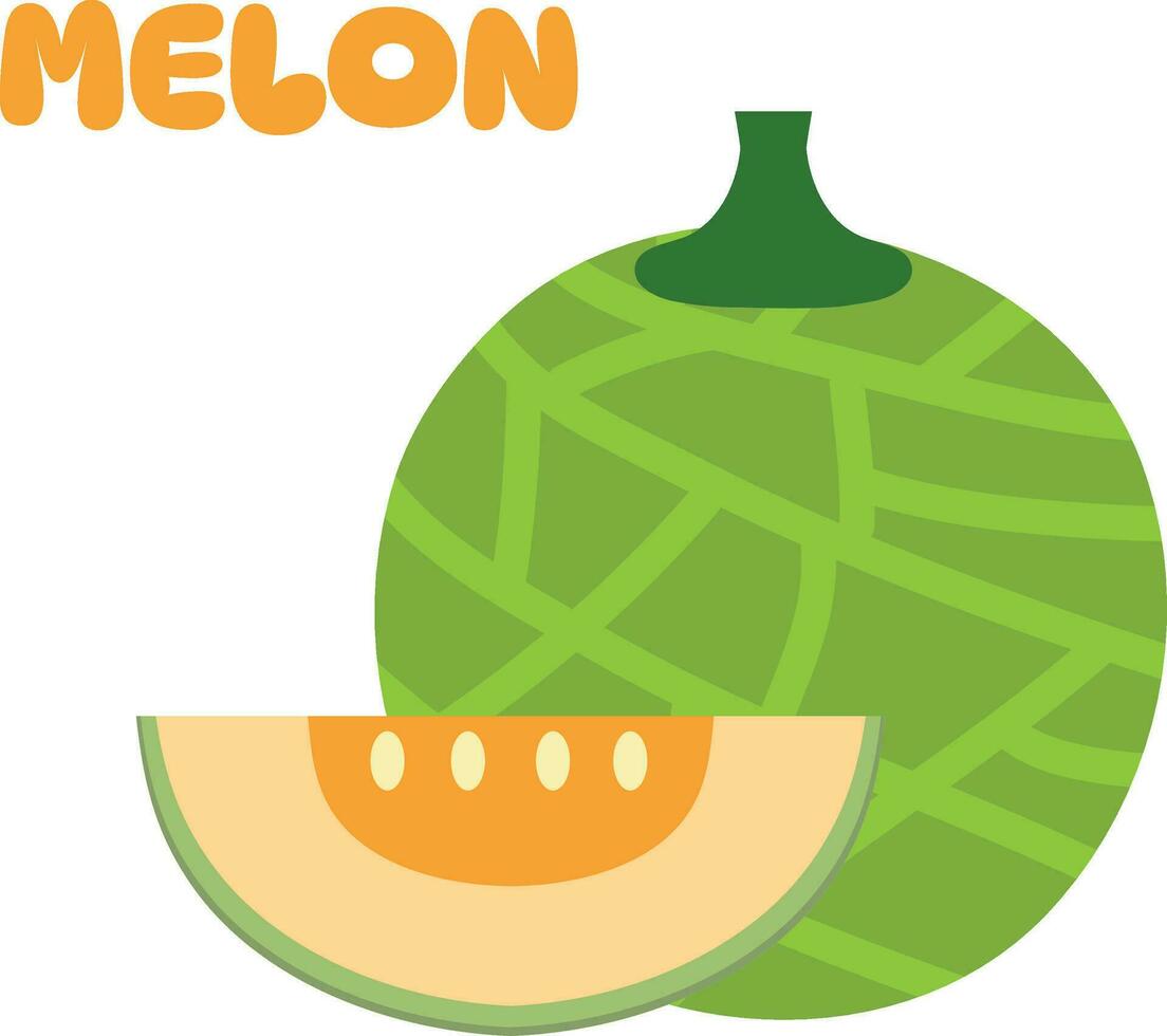 Melone-Vektor. Melone auf weißem Hintergrund. Hintergrund. Logo Design. vektor