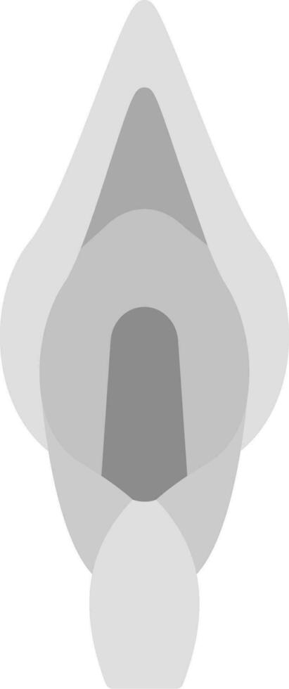 Calla Lilie Vektor Symbol