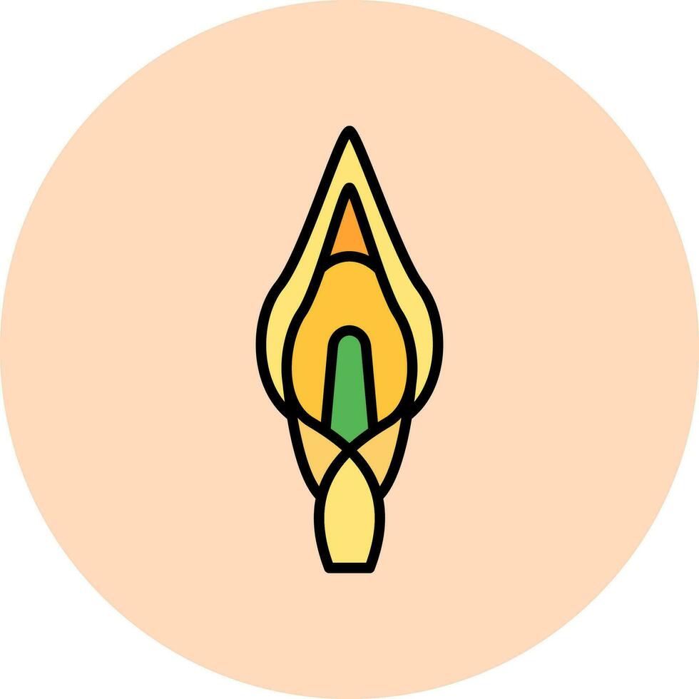 Calla Lilie Vektor Symbol