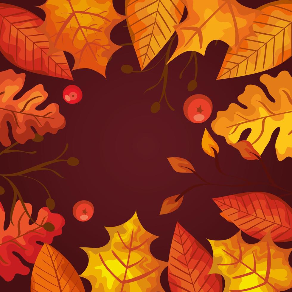Hintergrund von Blättern und Früchten Herbst vektor