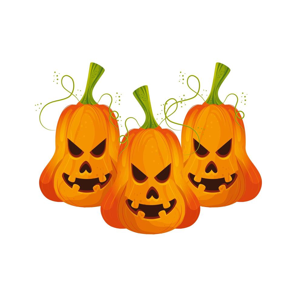 halloween pumpor traditionell isolerad ikon vektor