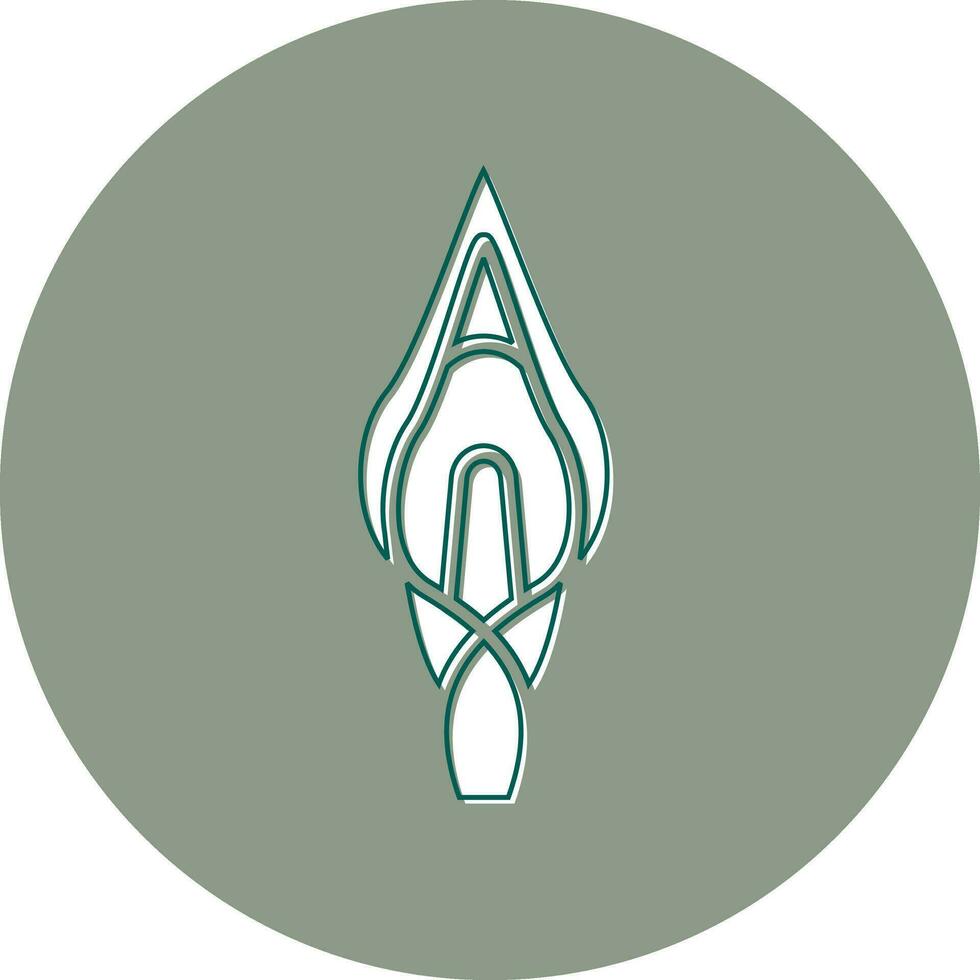 Calla Lilie Vektor Symbol