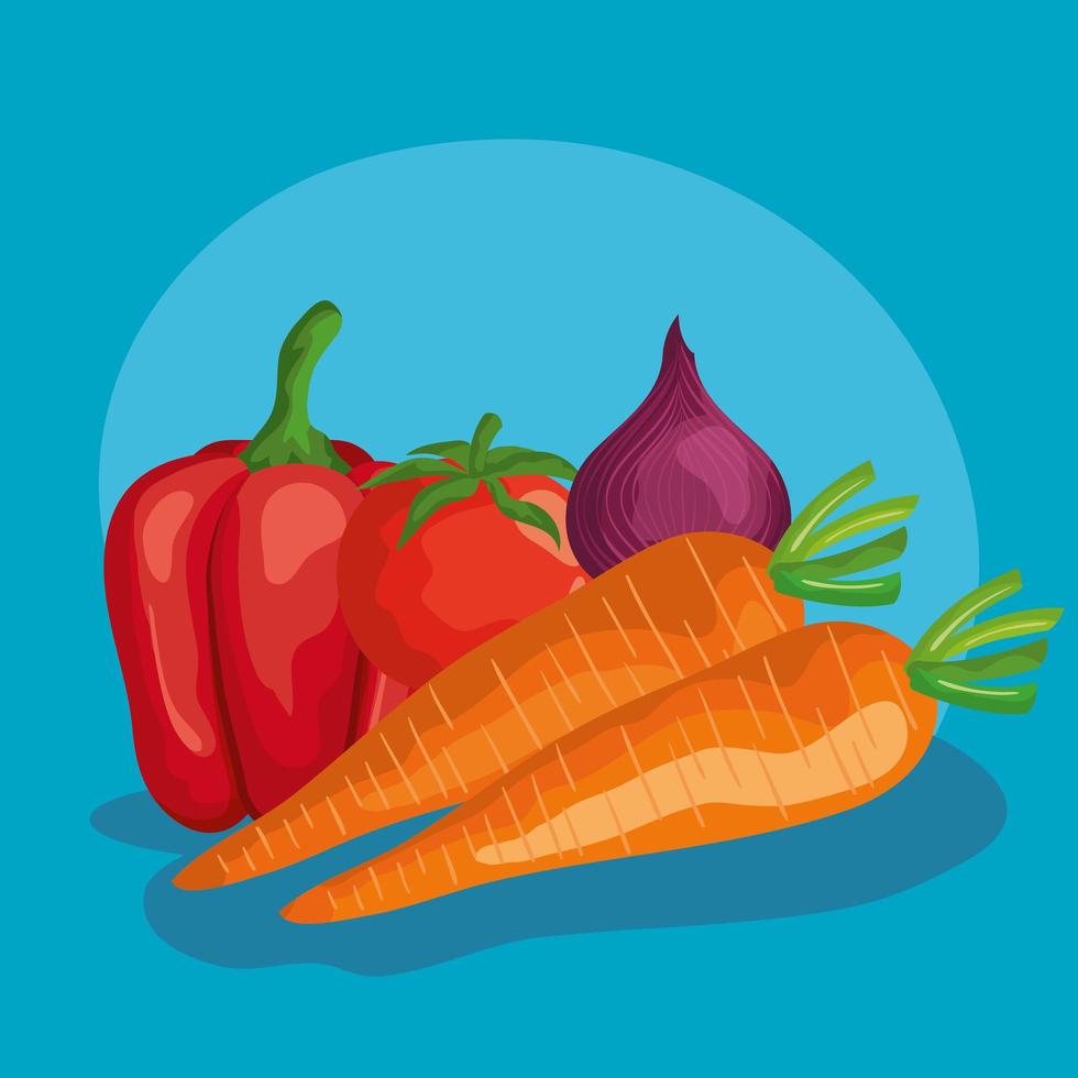 Karotten-Pfeffer-Zwiebel- und Tomatenvektordesign vektor