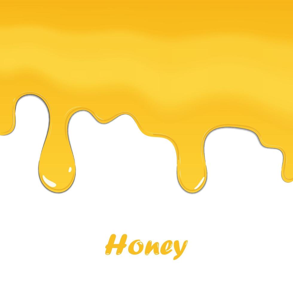 honung droppande isolerad på vit bakgrund, vektor illustration