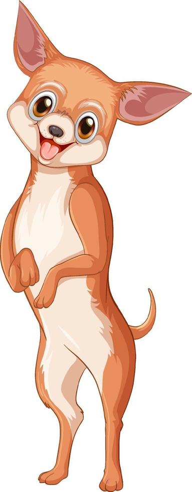 Chihuahua-Hund-Cartoon auf weißem Hintergrund vektor