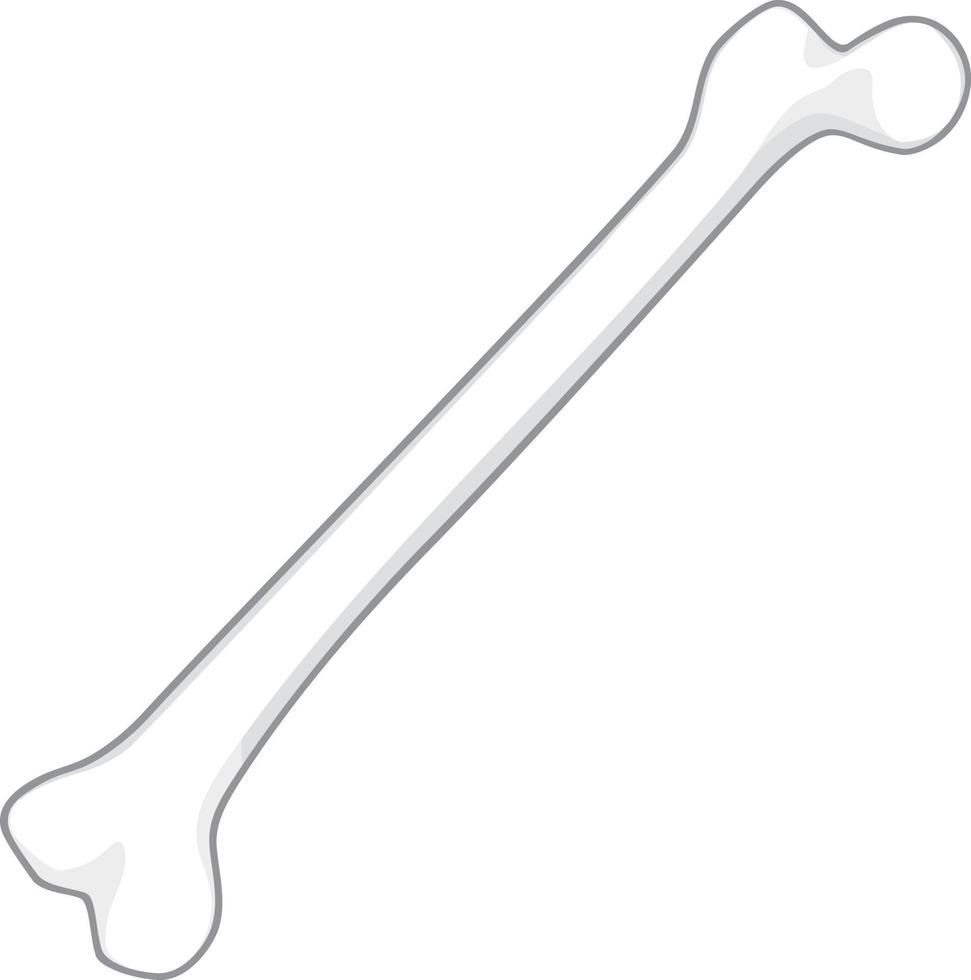 Symbol für menschliche Knochen vektor