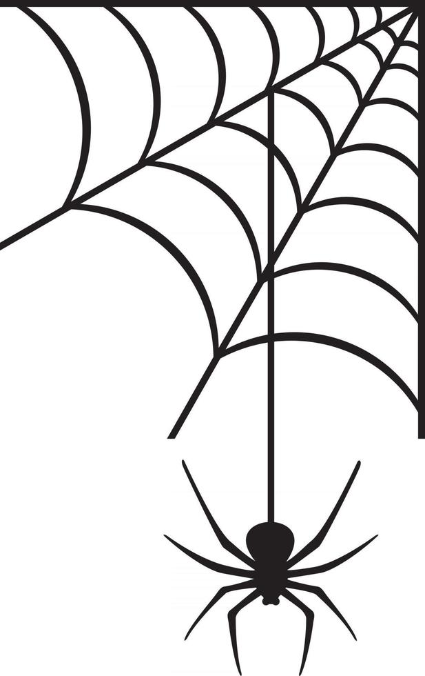 Spinne und Spinnennetz vektor