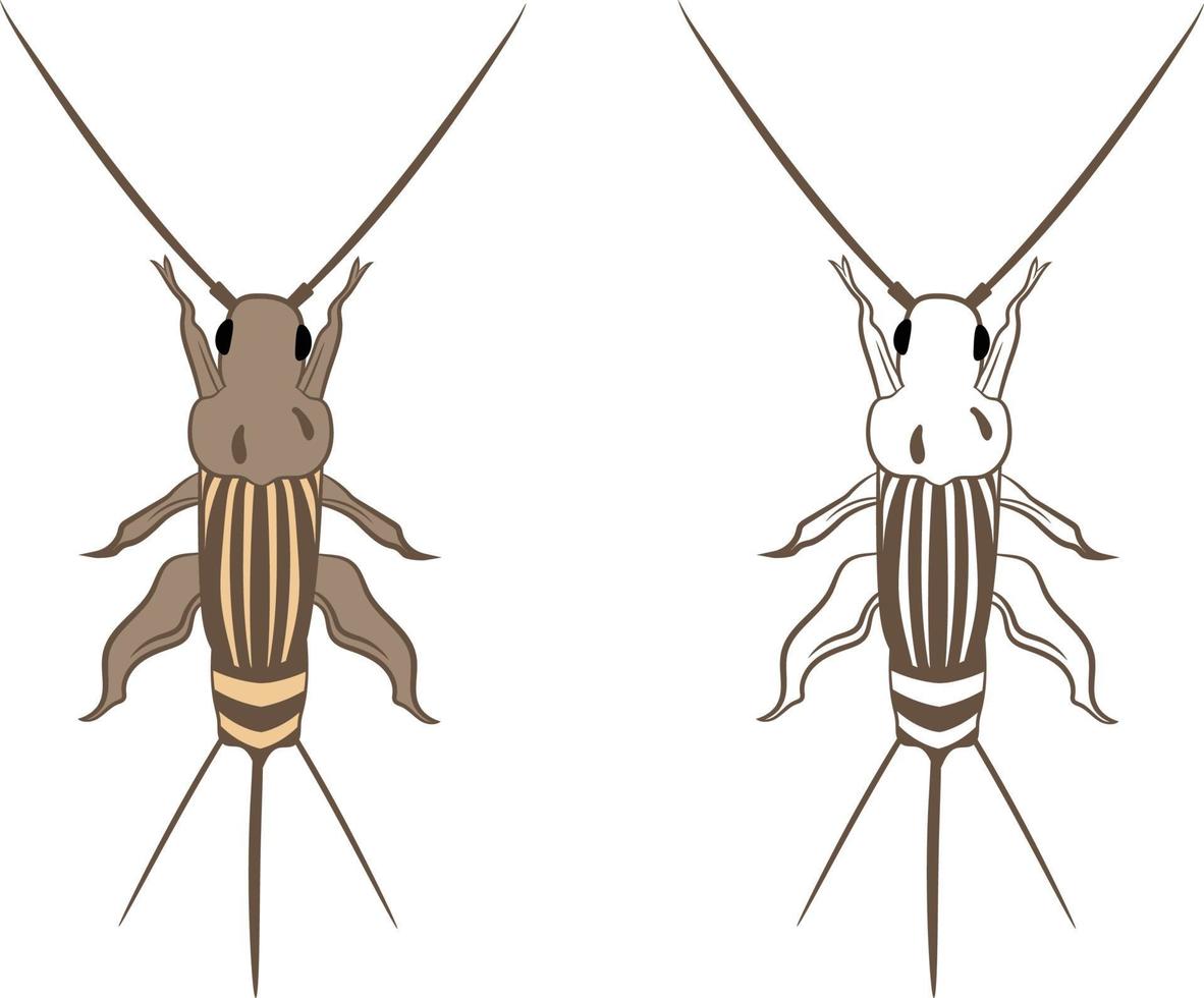 cricket eller grylloidea vektor