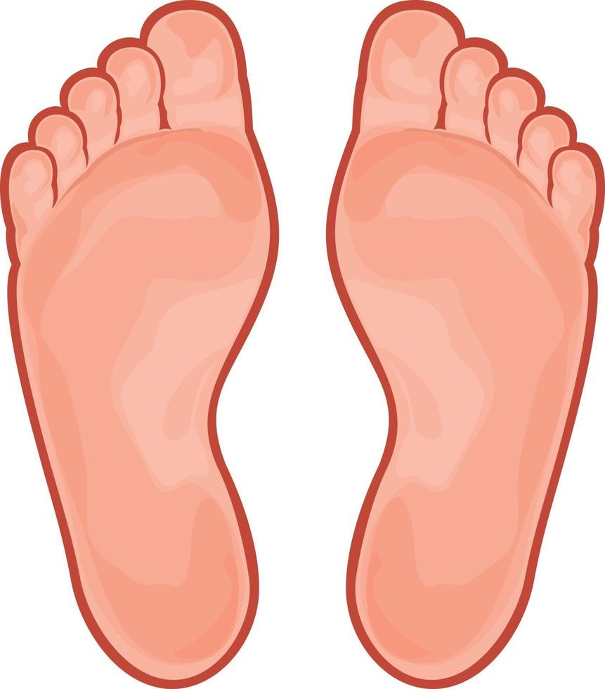 Symbol für den menschlichen Fuß vektor