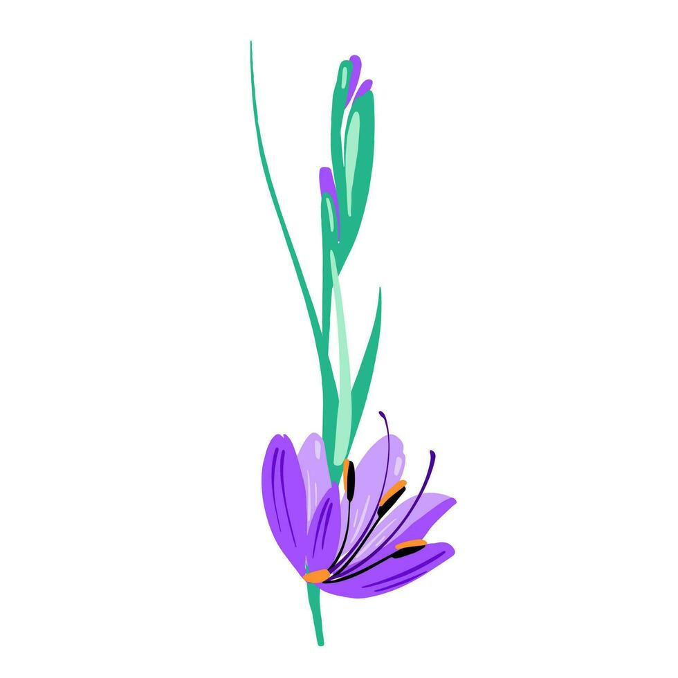 skön lila Färg gladiolus tycka om blomma sammansättning. vektor enkel ljus Färg botanisk grupp för dekoration. blommig element.