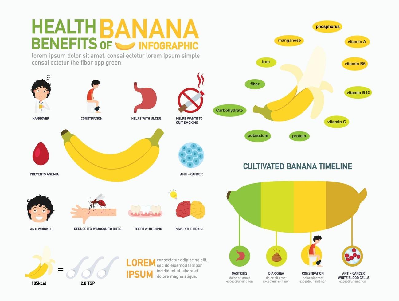 gesundheitliche Vorteile von Bananen infographics.vector vektor