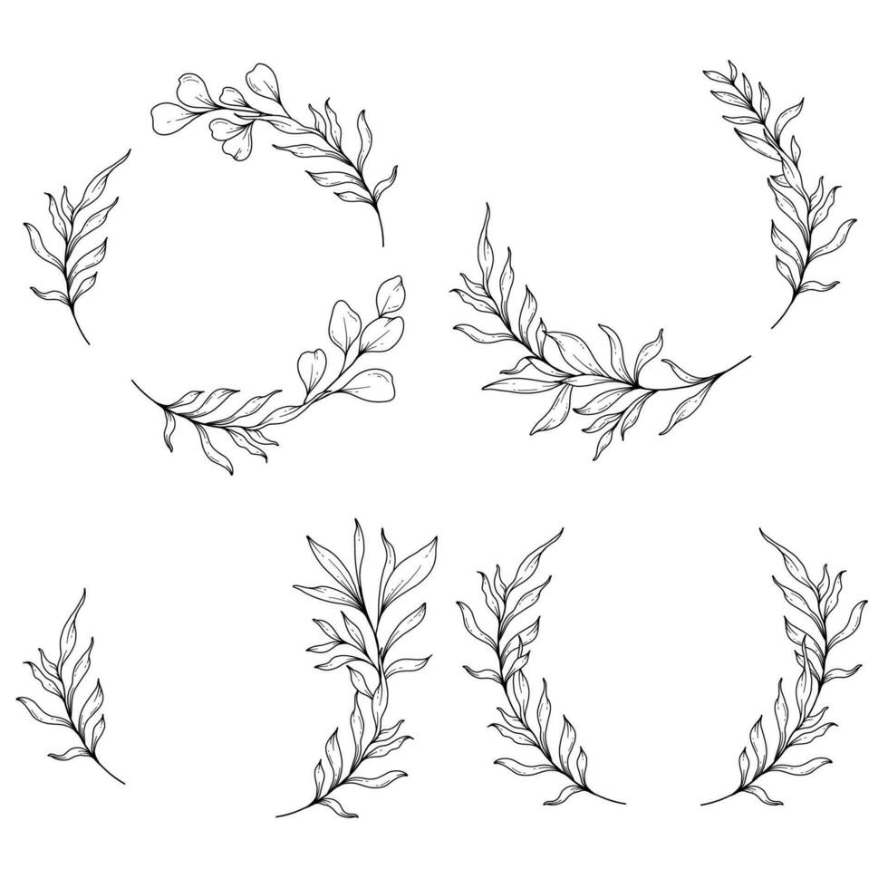 Blumen- Frames Linie Kunst, fein Linie Eukalyptus Frames Hand gezeichnet Illustration. Eukalyptus Gliederung rahmen. vektor