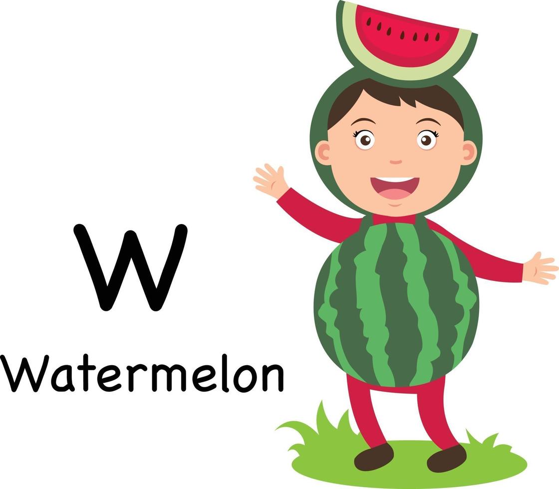 alfabetet bokstaven w-vattenmelon, vektor