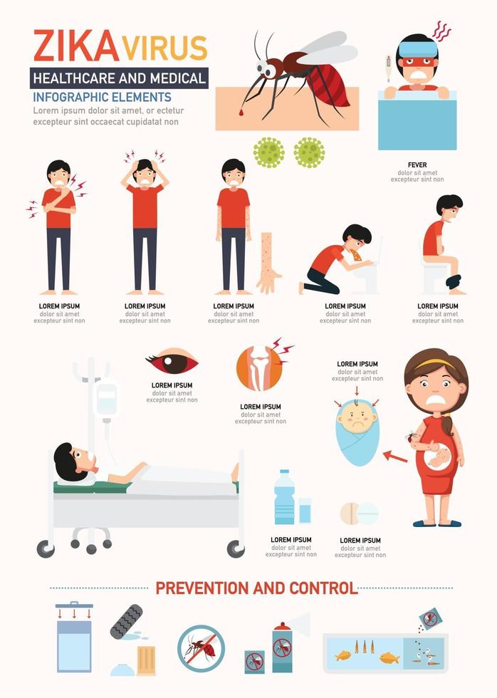 Zika-Virus infographics.vector vektor