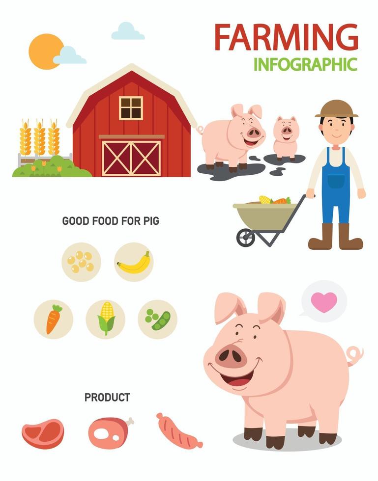 Schweinefarm Infografiken, Illustration vektor