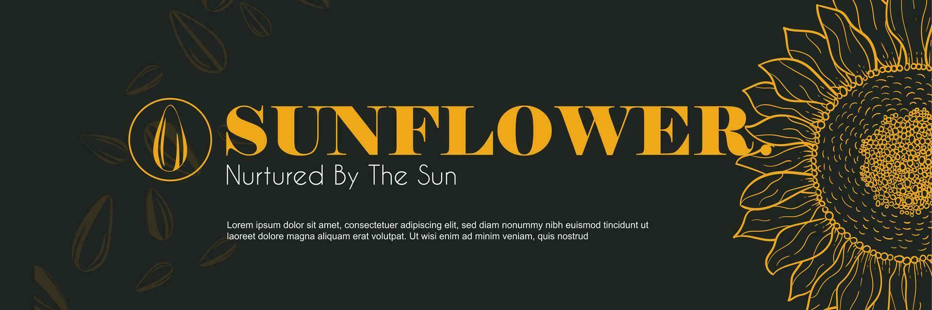 Sonnenblume Öl Vektor Vorlagen von Geschäft Banner. handgemalt Sonnenblume, Sonnenblume Samen Muster, und Text Raum auf ein schwarz Luxus Hintergrund. Produktion von Sonnenblume Konzept im Gravur Stil