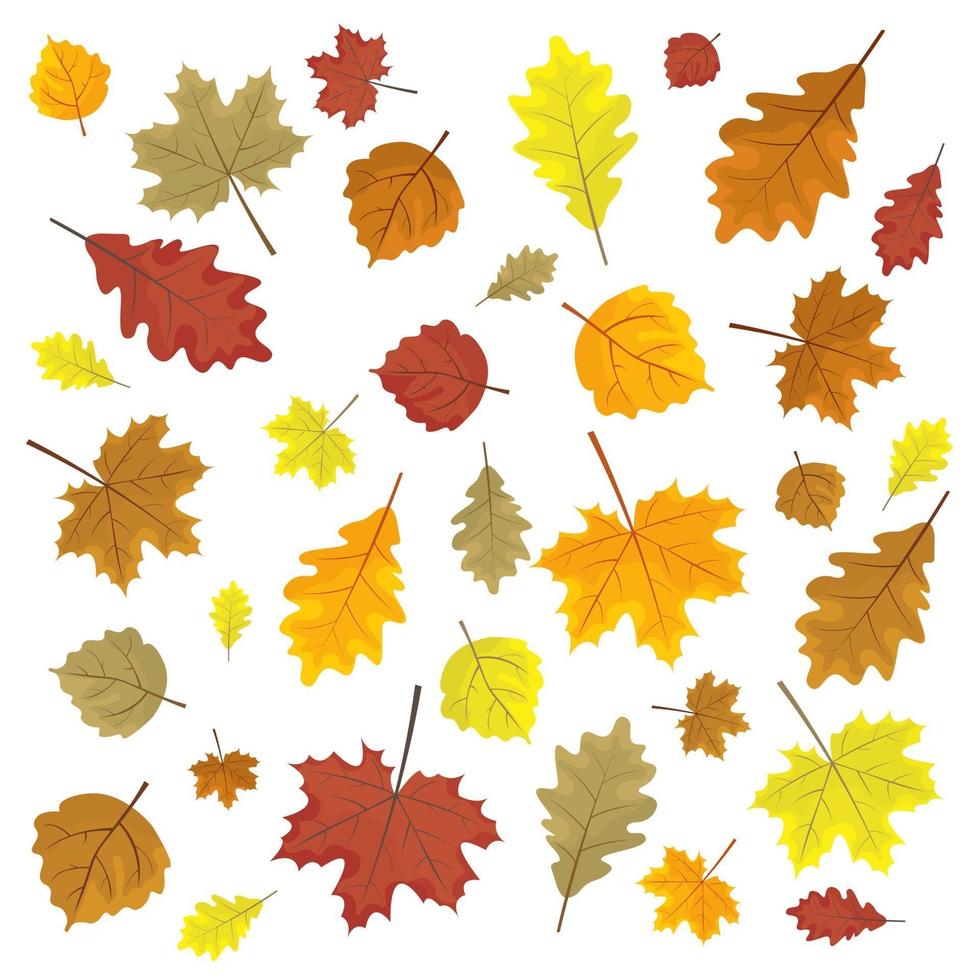 Reihe von bunten Herbstblättern. Design-Elemente-Vektor-Illustration vektor