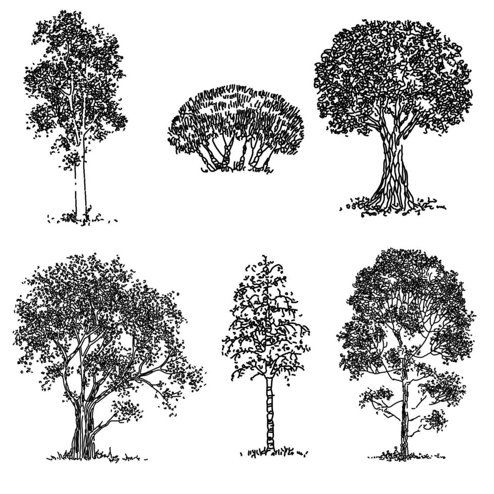 uppsättning handritade träd. ritning illustration vektor. vektor
