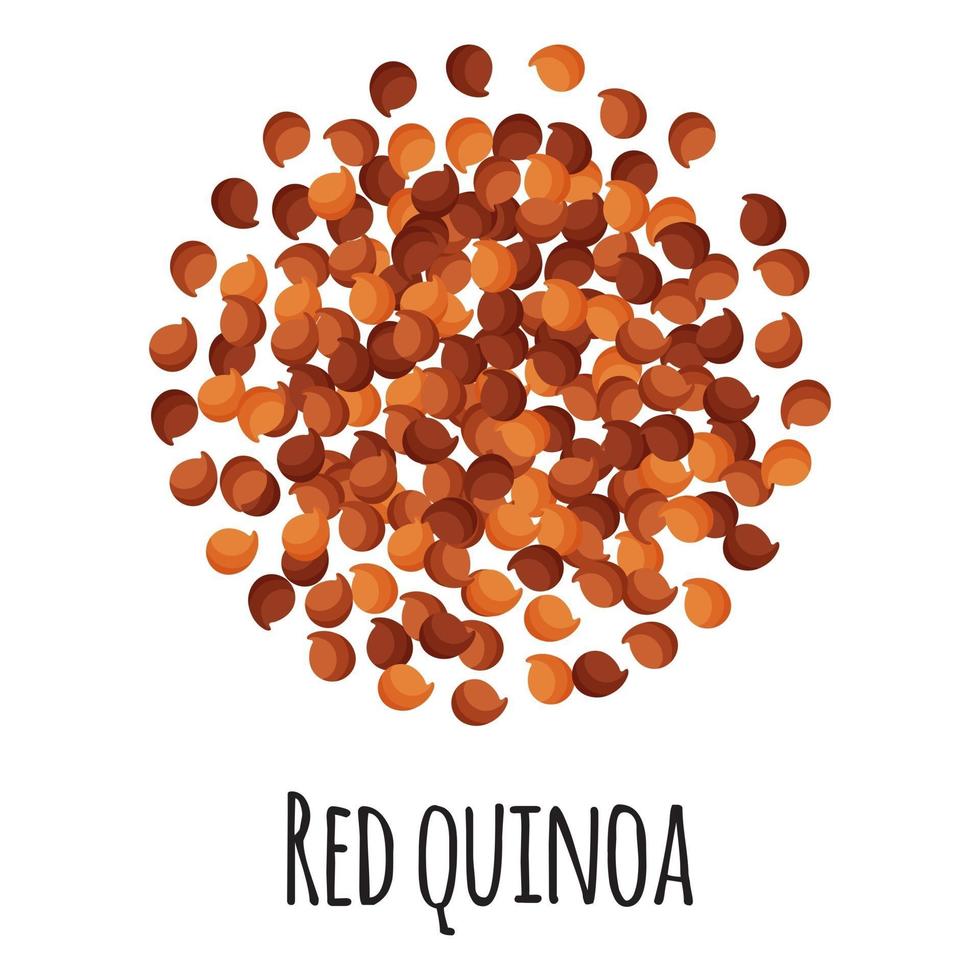 rote Quinoa für Vorlagenbauernmarktdesign, -etikett und -verpackung. vektor