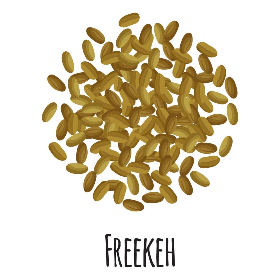 Freekeh für Vorlagenbauernmarktdesign, Etikett und Verpackung. vektor