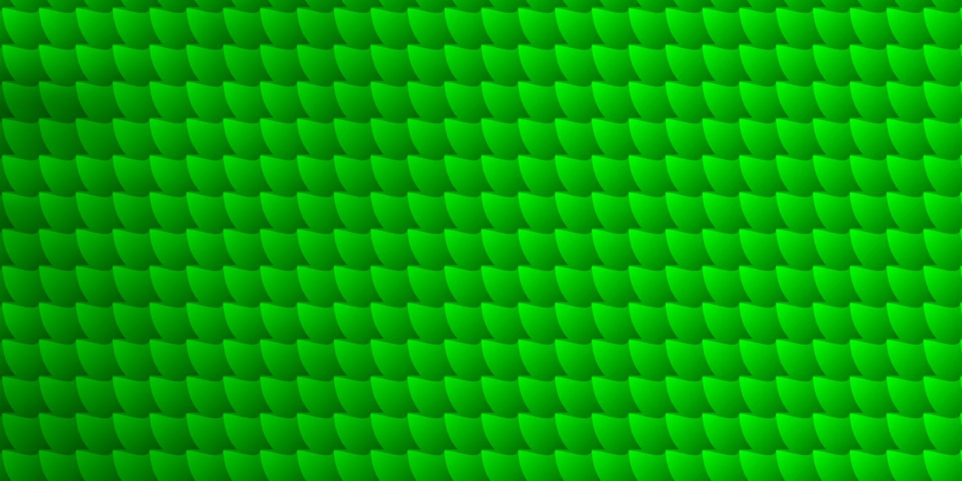 hellgrüne Vektorschablone mit Rechtecken. vektor