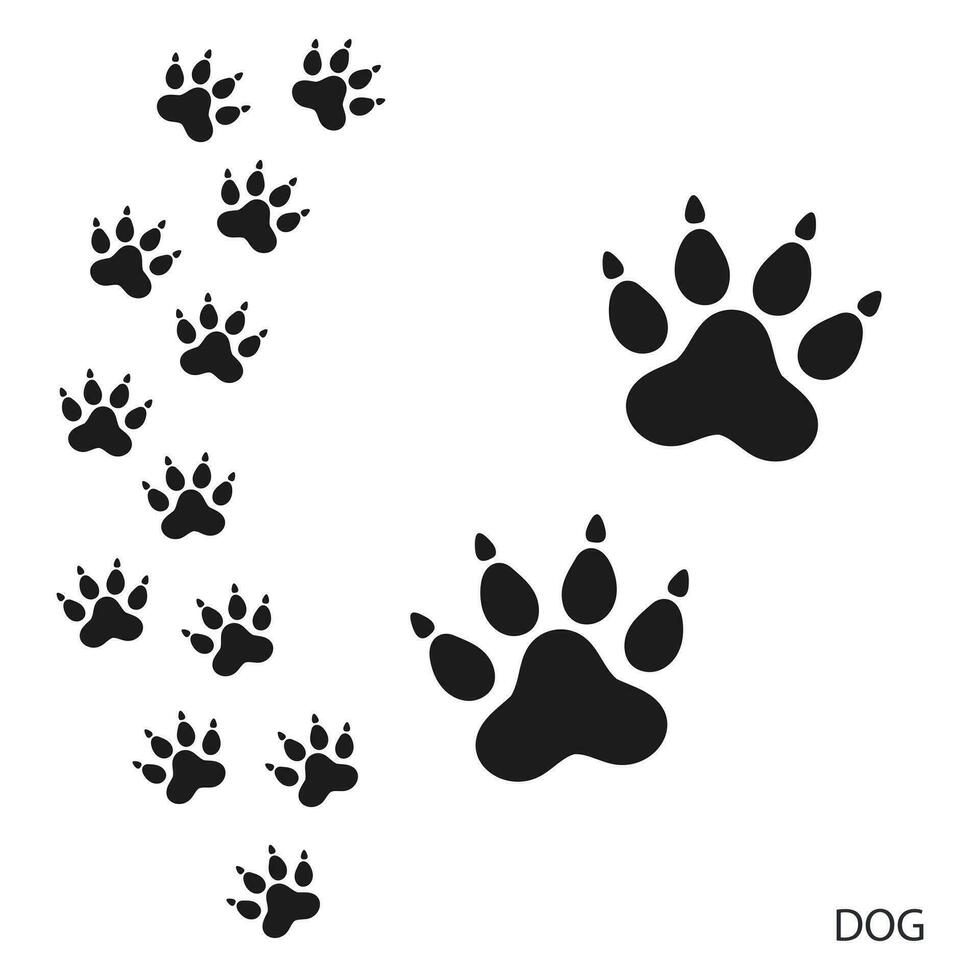 Pfote Drucke, Tier Fußspuren, Hund Fußabdrücke Vorlage. Symbol und Spur von Fußspuren. schwarz Silhouette. Vektor