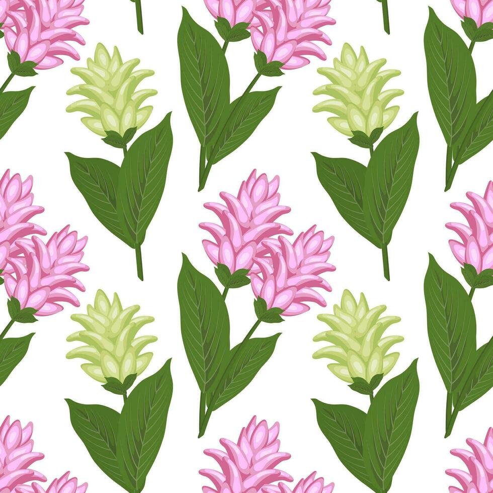 nahtlos Muster, Rosa und Weiß Kurkuma Blumen, Curcumin auf ein Weiß Hintergrund. botanisch drucken, Textil, Hintergrund. Vektor