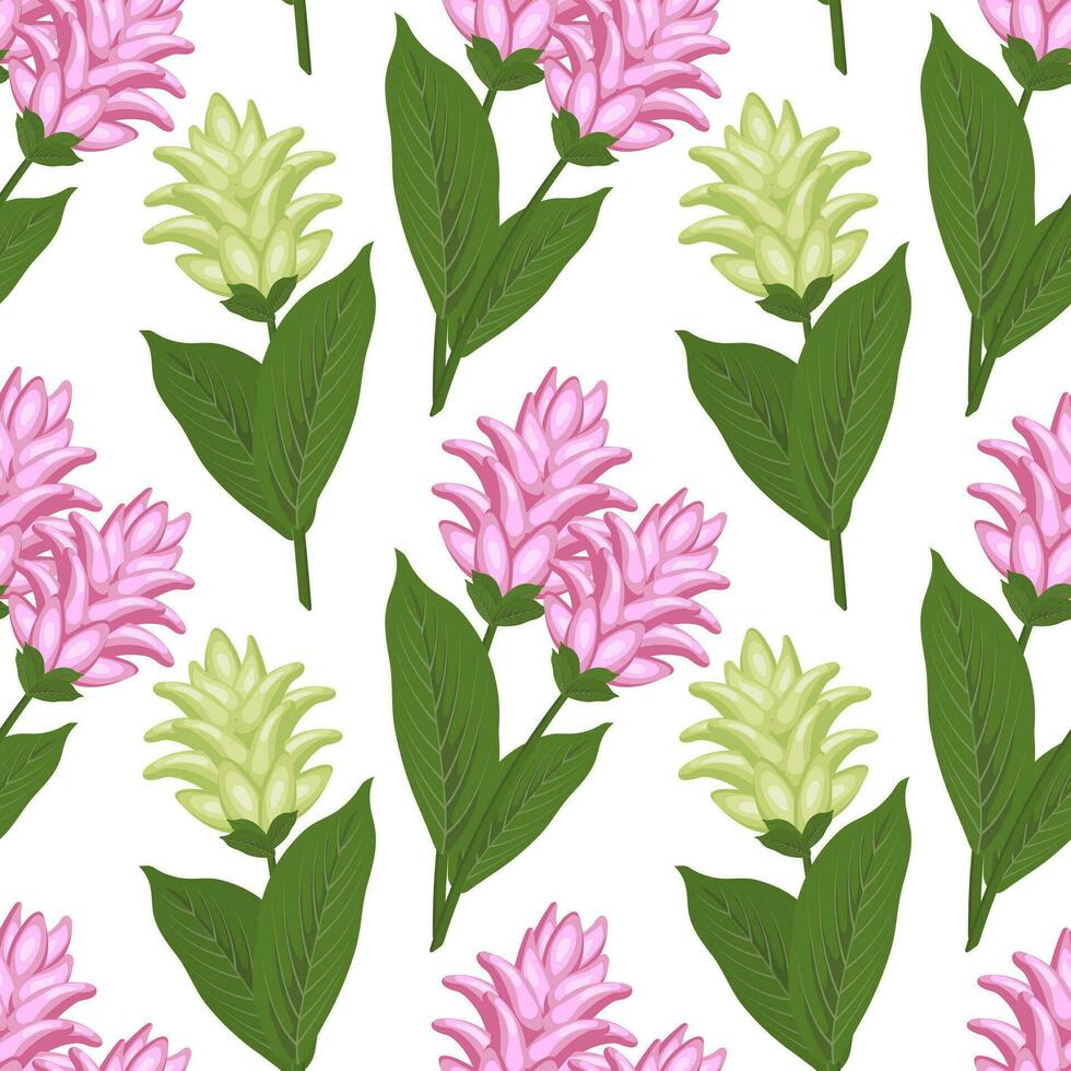 sömlös mönster, rosa och vit gurkmeja blommor, curcumin på en vit bakgrund. botanisk skriva ut, textil, tapet. vektor