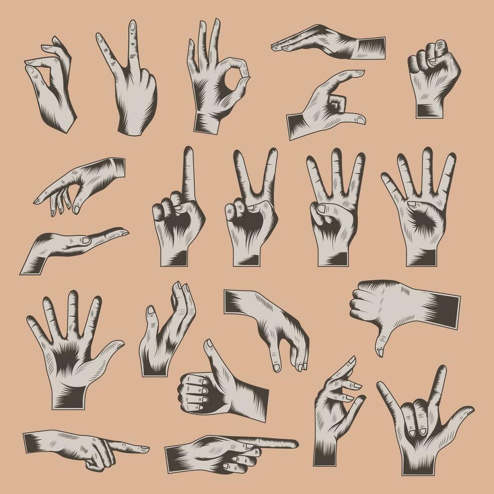 årgång hand uppsättning hand tecken vektor illustration