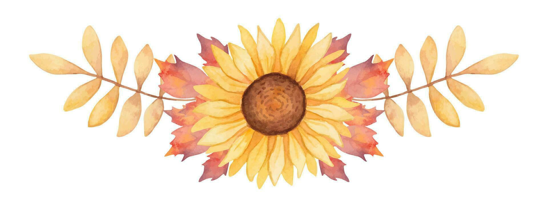 Herbst Komposition Sonnenblume mit Ahorn Blätter.Rahmen, Banner. saisonal Ferien Design. das Erntedankfest, Halloween. Land Hochzeit. Aquarell Hand Kunst. vektor