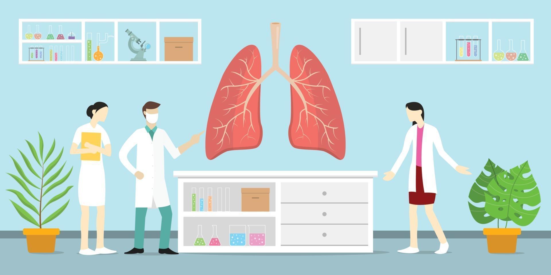 mänsklig lunga eller lungor anatomi vetenskaplig analys hälsa på laboratorium vektor